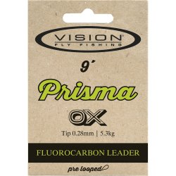 Vision Prisma 9fot tafs